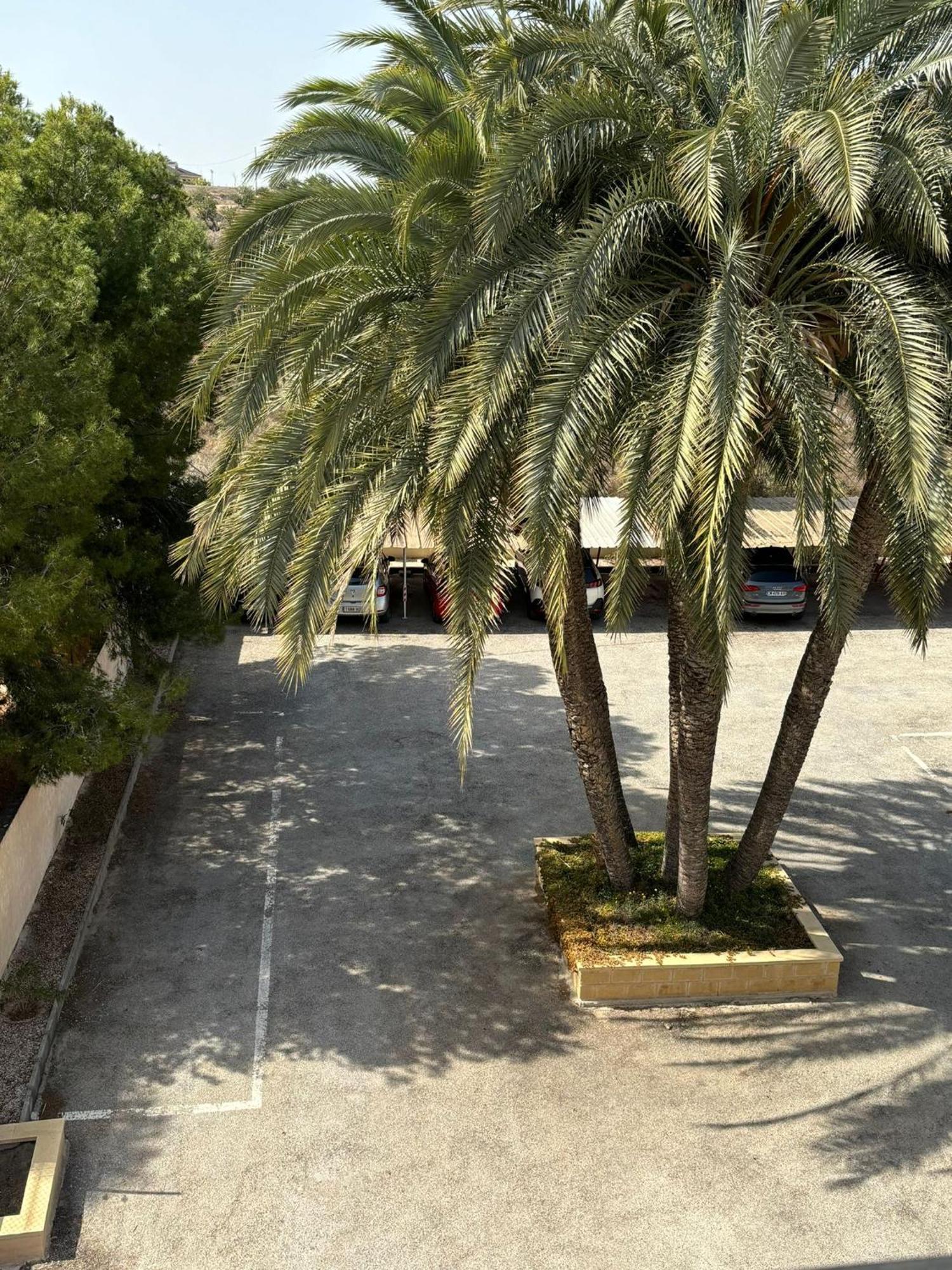 Apartamentos Congo El Campello Exteriör bild